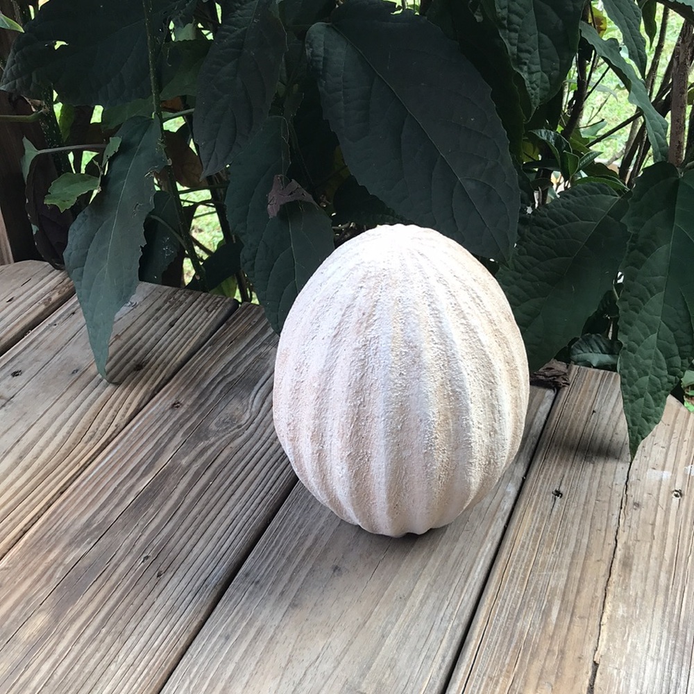 Pottery Barn Country Chic Rustic Weathered Small Size Handcrafted Easter Egg 🐰 - Picture 15 of 16